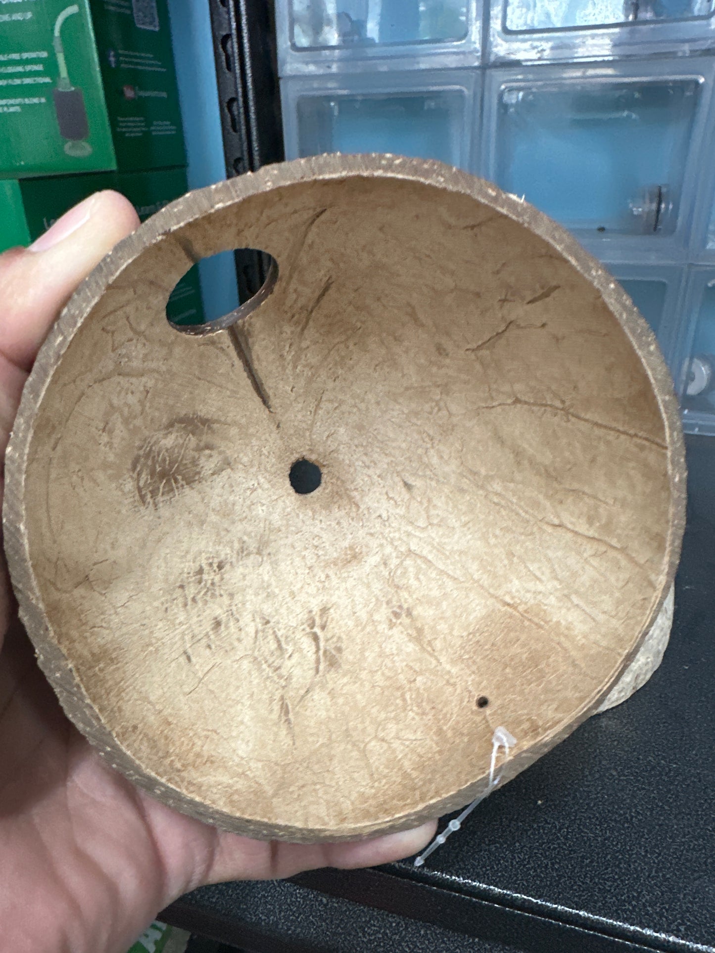 Apistogramma/Pleco/fish Cave Coconut – Natural Shelter for Your Aquarium Fish