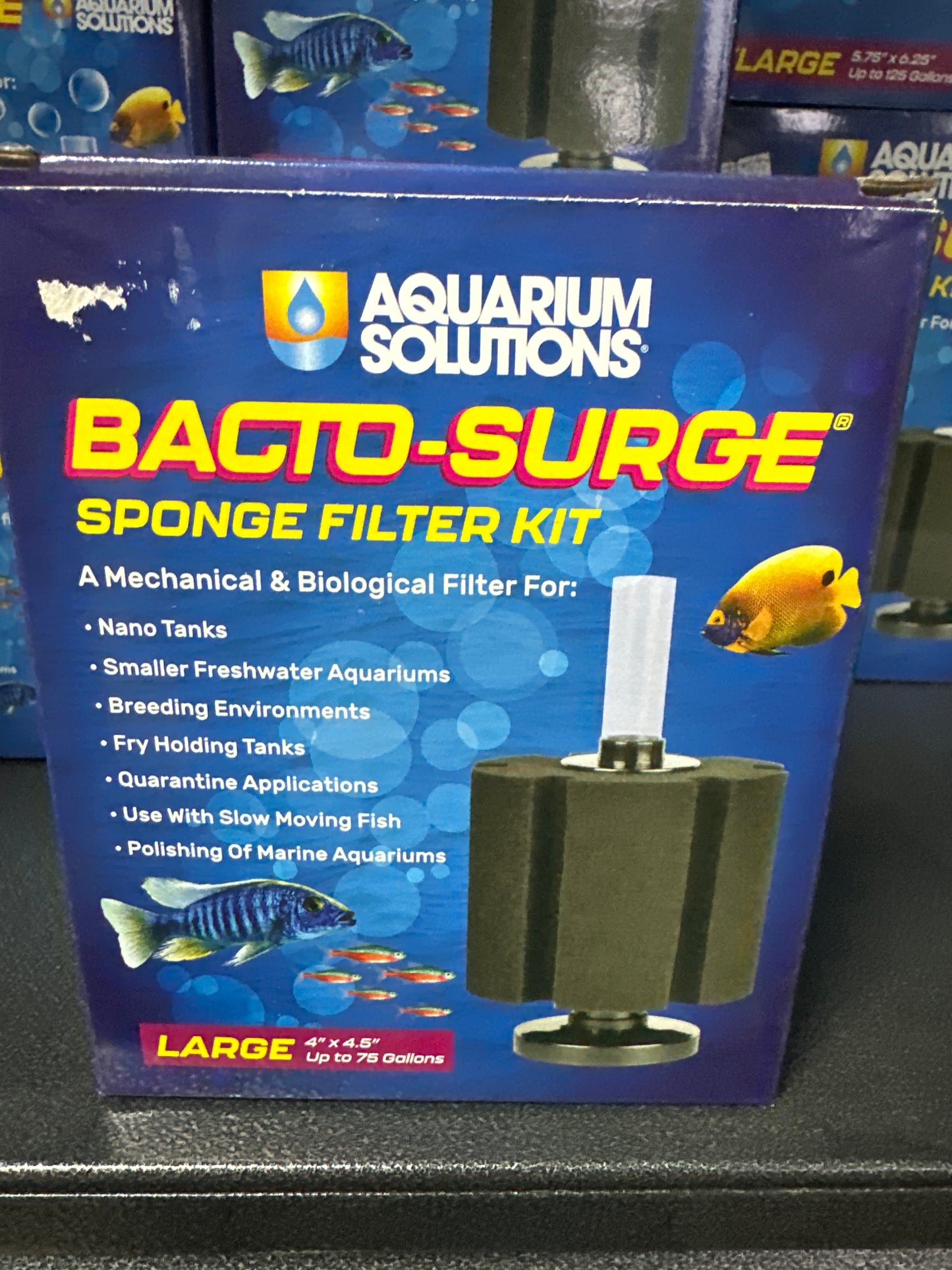 Bacto-Surge Sponge Filter Kit
