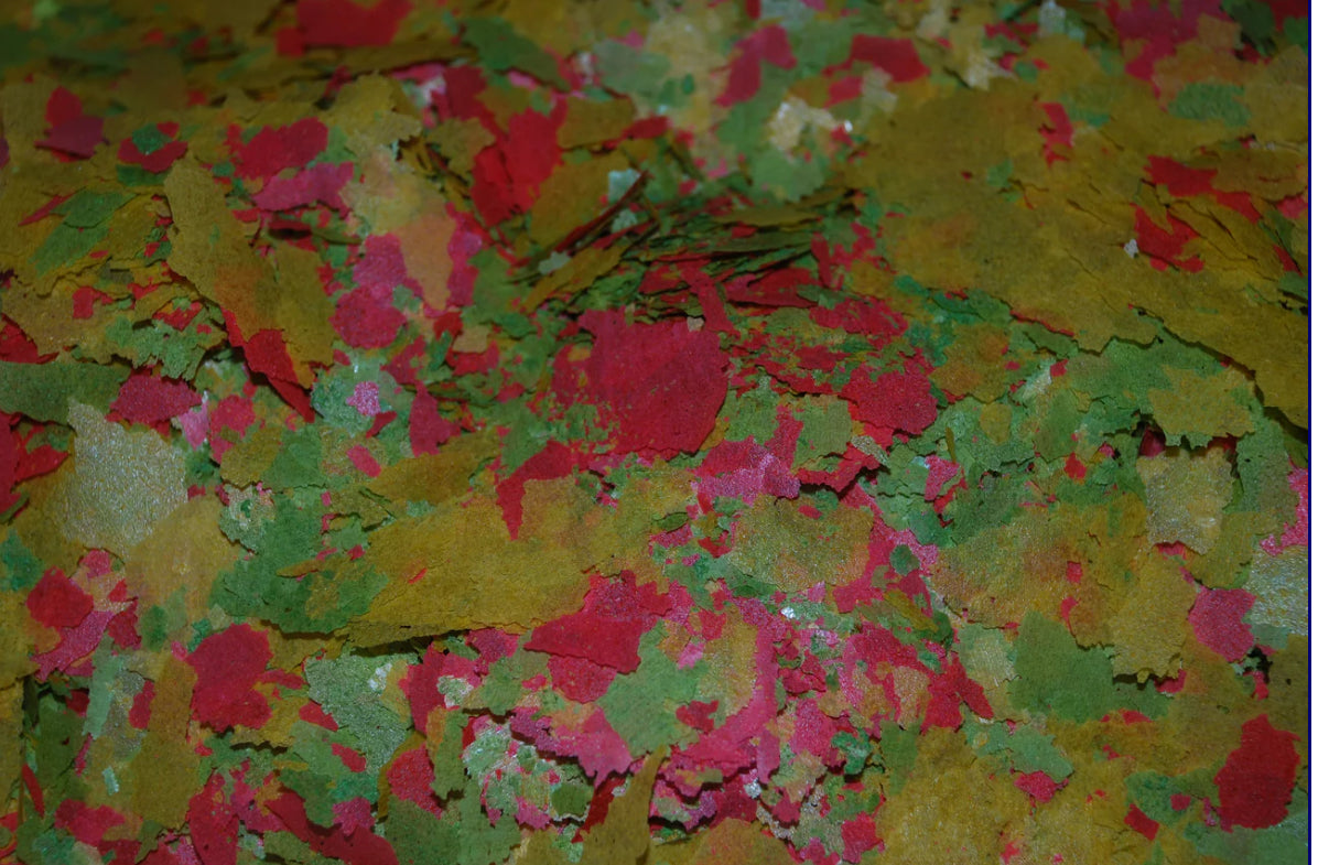 Premium Tropical Flakes