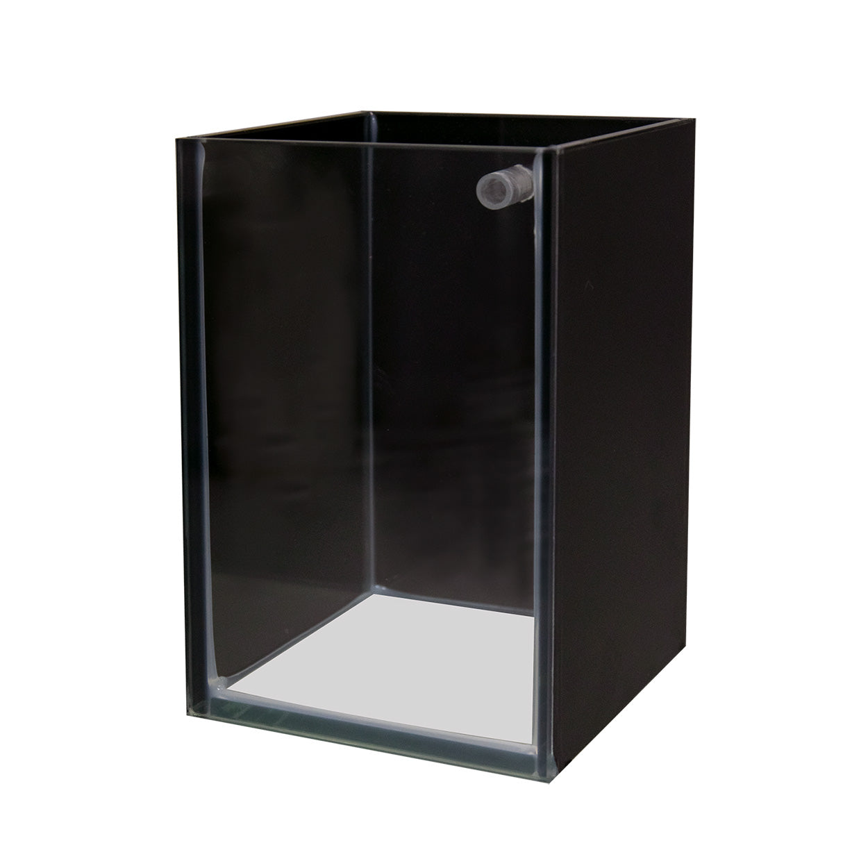 Betta Tank Shop Display PACK OF 10