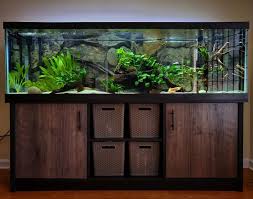 Lease Aquariums (FULL SETUP DELIVERED, INSTALLED, SERVICE and MAINTENANCE INCLUDED)