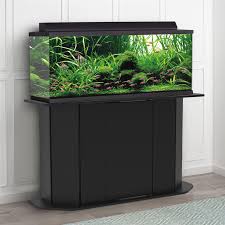 Lease Aquariums (FULL SETUP DELIVERED, INSTALLED, SERVICE and MAINTENANCE INCLUDED)