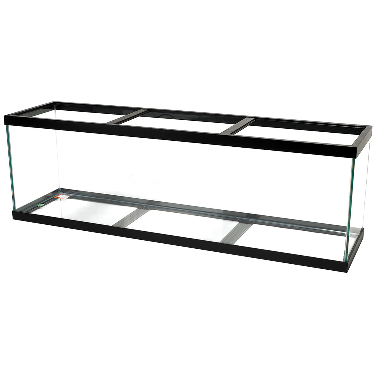 Standard Aquarium - Black Frame - 125 gal - Black Silicone