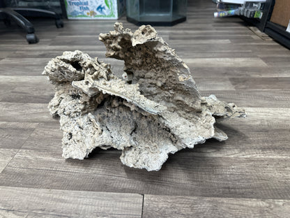 REAL Extra Large Coral 24"x12"x12"h