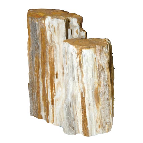 Feller Stone Petrified Wood - Sold by the Pound 12550 Minimum 5 lb