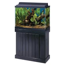 Lease Aquariums (FULL SETUP DELIVERED, INSTALLED, SERVICE and MAINTENANCE INCLUDED)