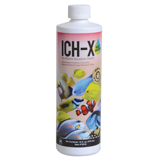 Ich-X Saltwater