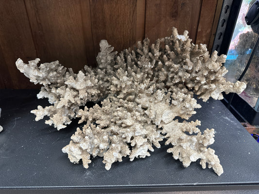 REAL Extra Large Coral 18"x16"x10"h