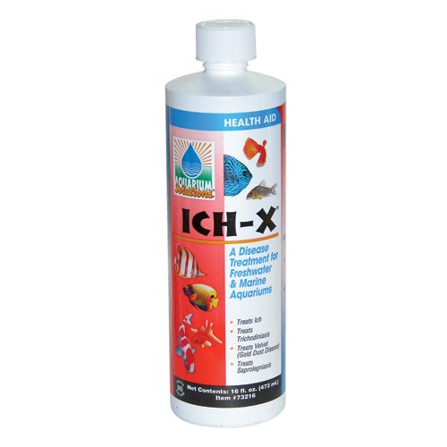 Ich-X