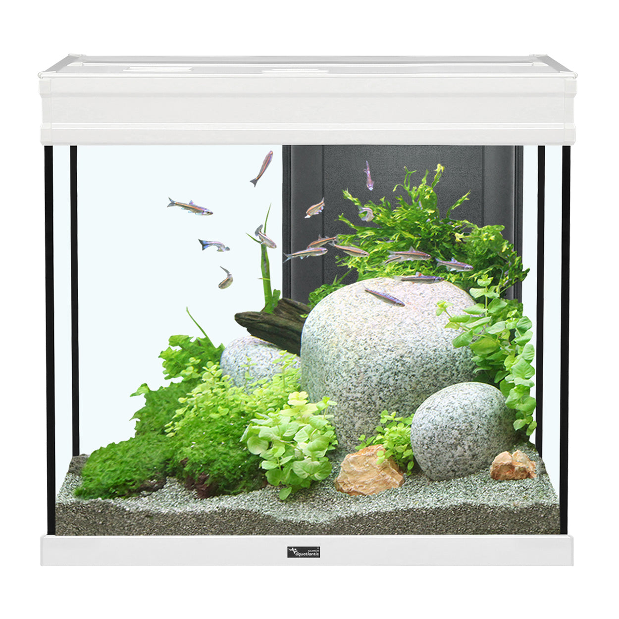 Elegance Expert Aquarium BLACK/WHITE/GREY
