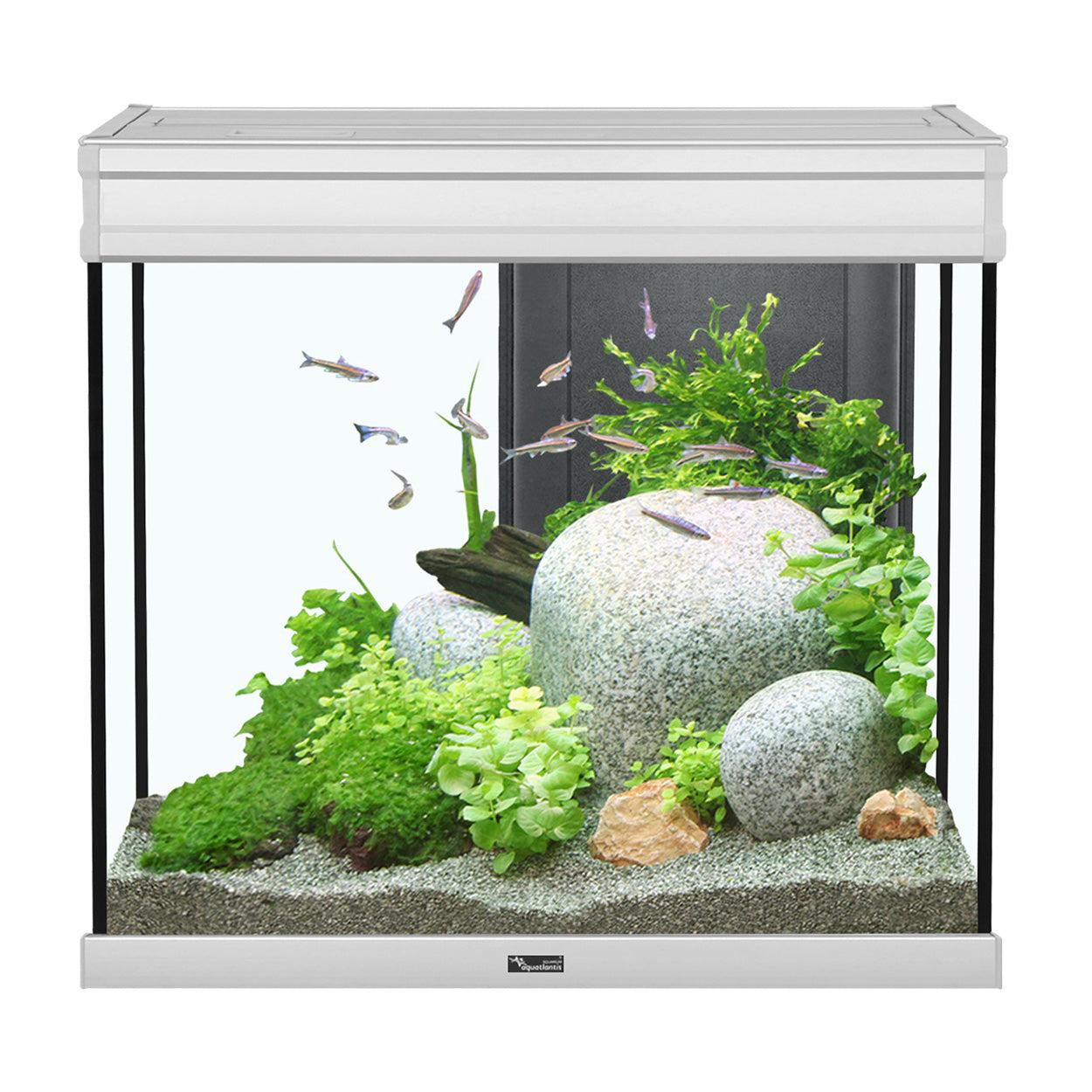 Elegance Expert Aquarium BLACK/WHITE/GREY