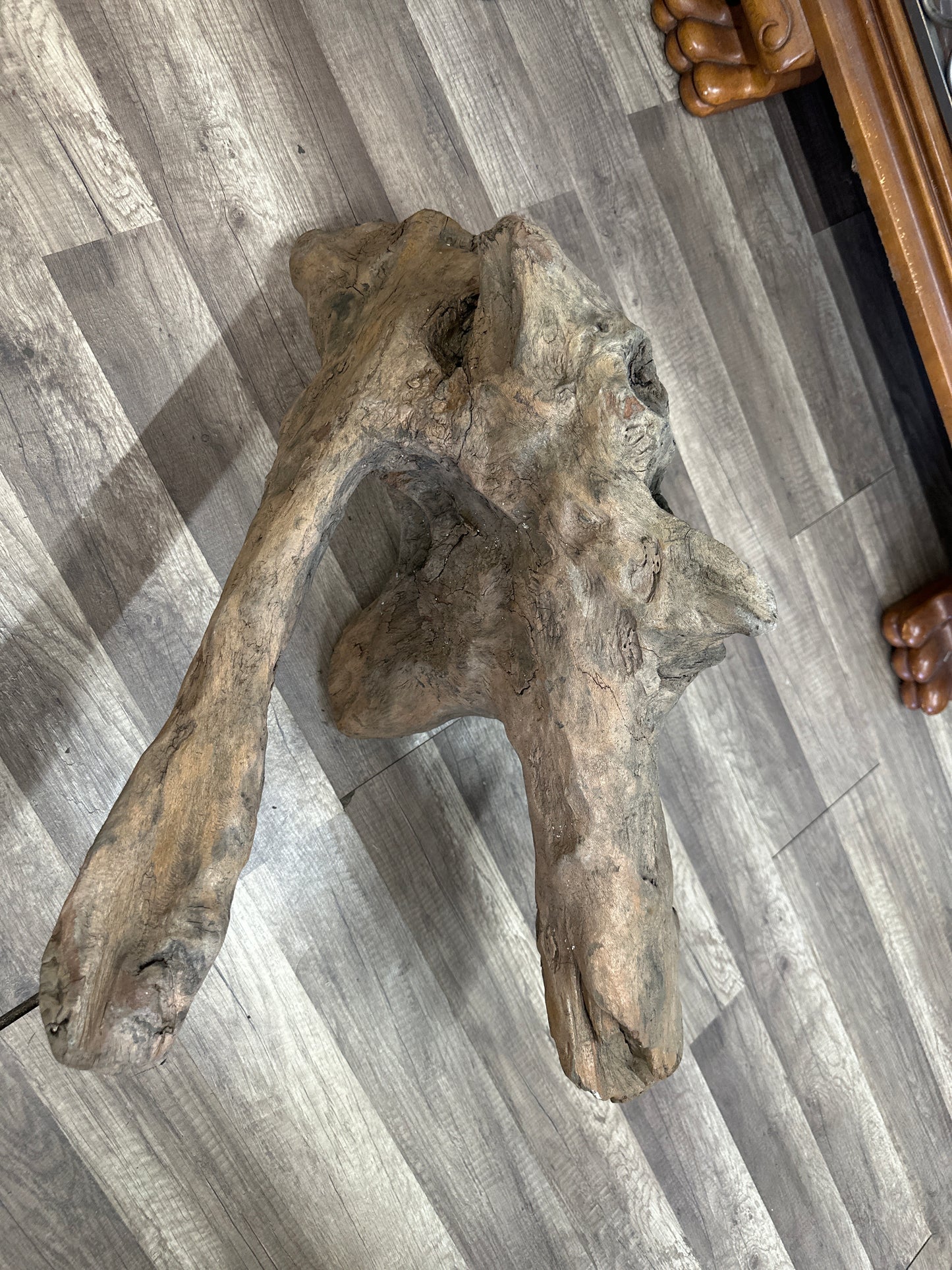 EXTRA LARGE DRIFTWOOD 30"x16"x19"