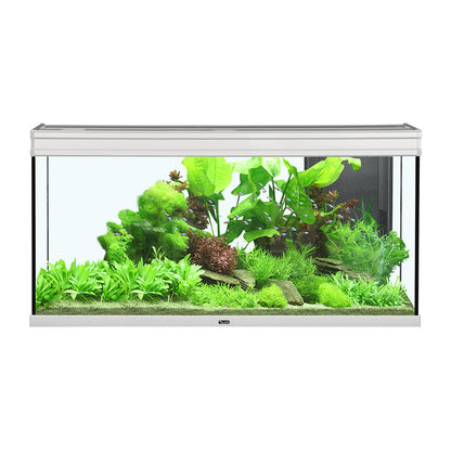Elegance Expert Aquarium BLACK/WHITE/GREY
