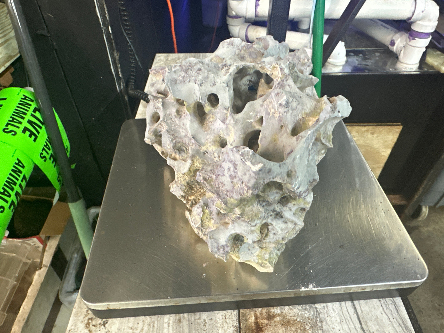 Aquarium Unique Rock 12"x8"x7"h