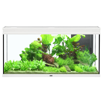 Elegance Expert Aquarium BLACK/WHITE/GREY