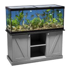 Lease Aquariums (FULL SETUP DELIVERED, INSTALLED, SERVICE and MAINTENANCE INCLUDED)