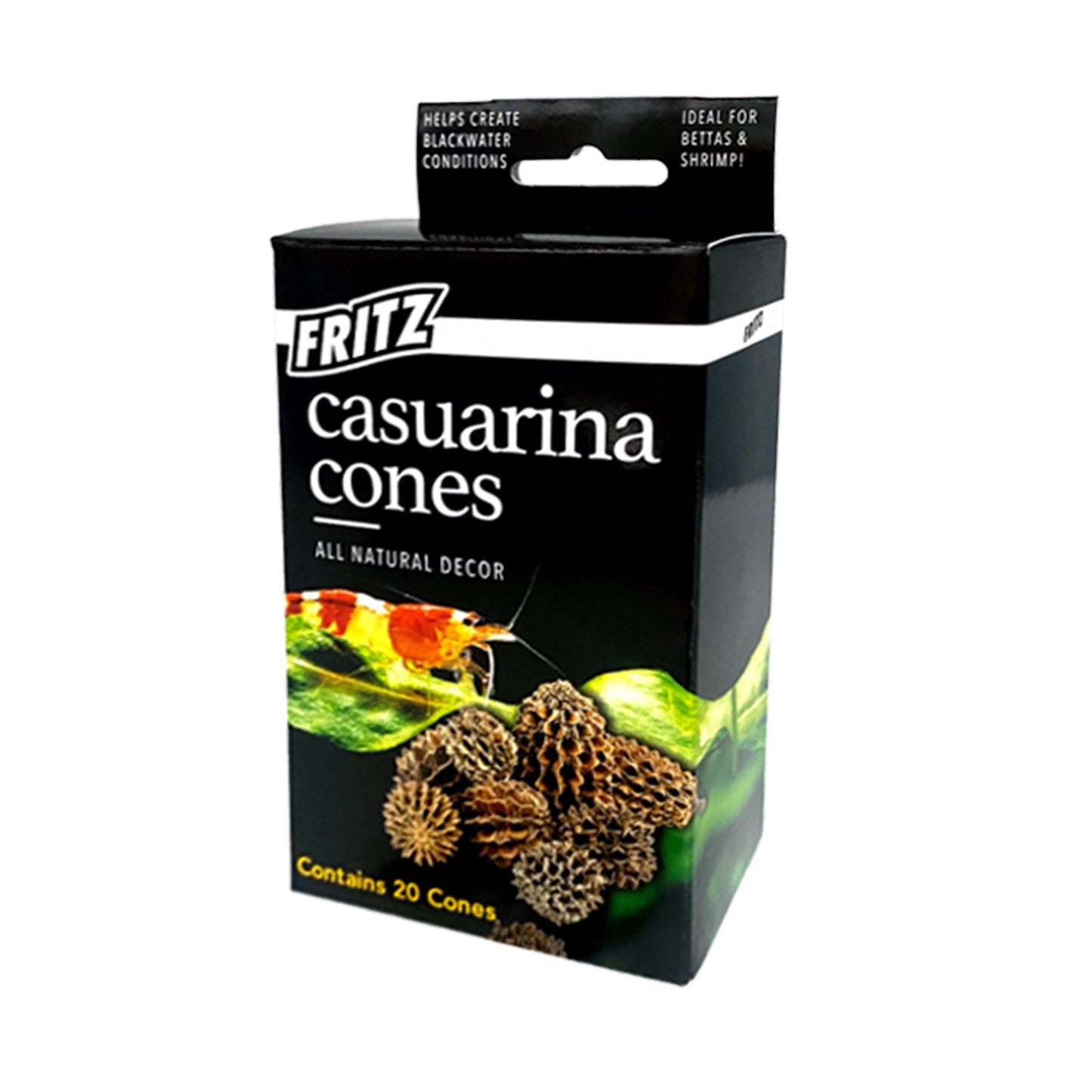 Casuarina Cones - 20 ct