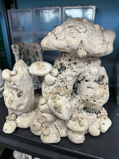Resin Ornament Rock & Coral Swim Through 11" x 7" x 11"h