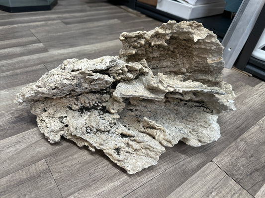 REAL Extra Large Coral 24"x12"x12"h