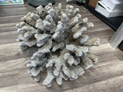 REAL Extra Large Coral 22"x17"x17"h