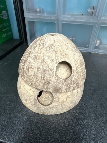 Apistogramma/Pleco/fish Cave Coconut – Natural Shelter for Your Aquarium Fish