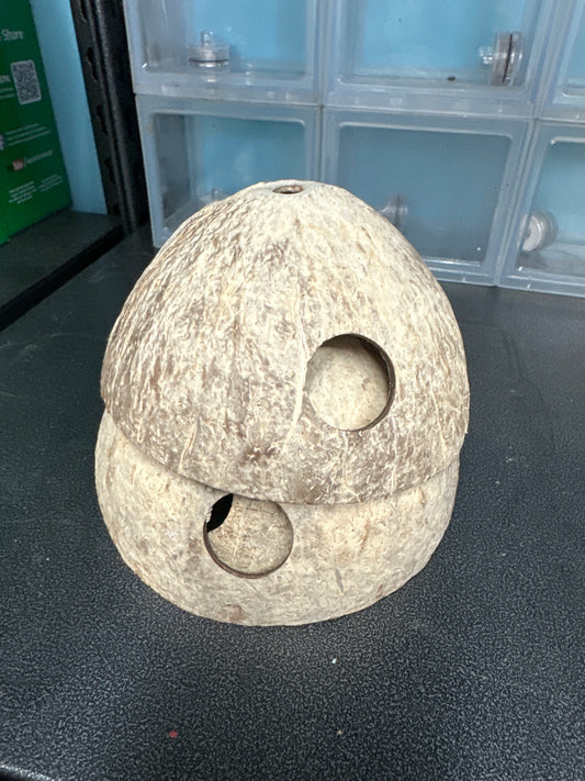 Apistogramma/Pleco/fish Cave Coconut – Natural Shelter for Your Aquarium Fish