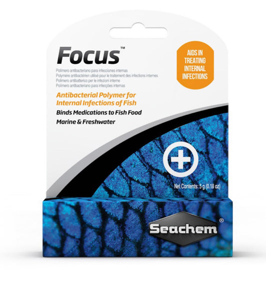 Focus 5g