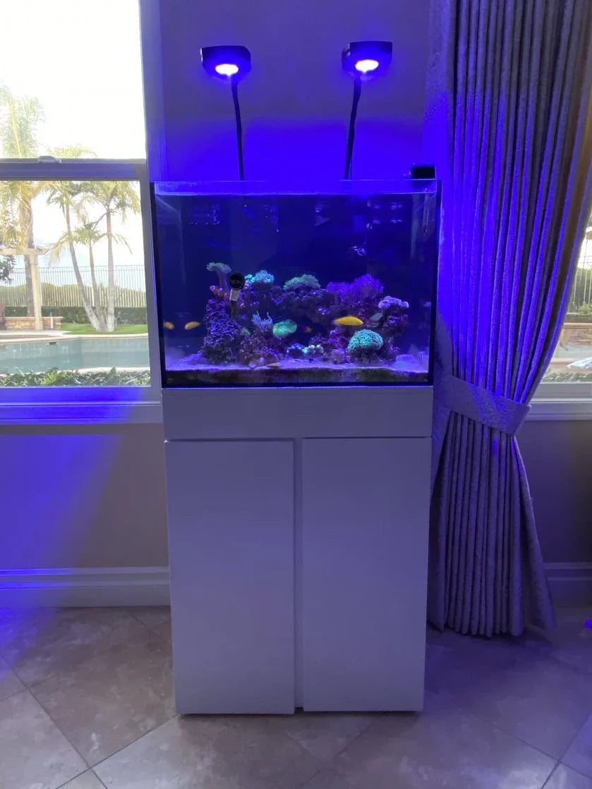 JBJ 45 Gallon Rimless Saltwater Aquarium with Stand RF-45 (lightly USED) (BLACK STAND)