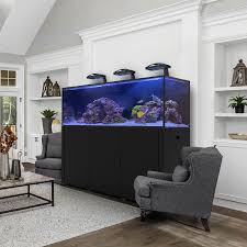 Lease Aquariums (FULL SETUP DELIVERED, INSTALLED, SERVICE and MAINTENANCE INCLUDED)