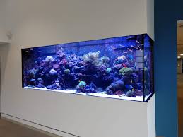 Lease Aquariums (FULL SETUP DELIVERED, INSTALLED, SERVICE and MAINTENANCE INCLUDED)