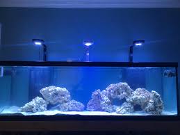 Lease Aquariums (FULL SETUP DELIVERED, INSTALLED, SERVICE and MAINTENANCE INCLUDED)
