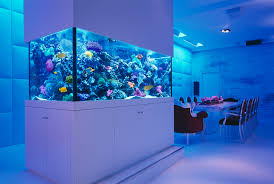Lease Aquariums (FULL SETUP DELIVERED, INSTALLED, SERVICE and MAINTENANCE INCLUDED)