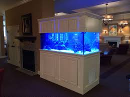 Lease Aquariums (FULL SETUP DELIVERED, INSTALLED, SERVICE and MAINTENANCE INCLUDED)