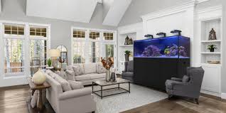 Lease Aquariums (FULL SETUP DELIVERED, INSTALLED, SERVICE and MAINTENANCE INCLUDED)