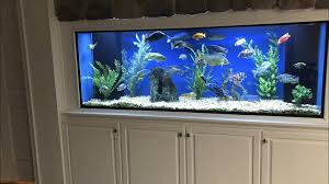 Lease Aquariums (FULL SETUP DELIVERED, INSTALLED, SERVICE and MAINTENANCE INCLUDED)