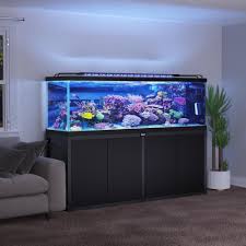 Lease Aquariums (FULL SETUP DELIVERED, INSTALLED, SERVICE and MAINTENANCE INCLUDED)